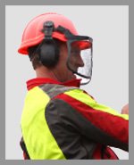 Tree Service Information - Local Service Request - treecare_homepage_graphic